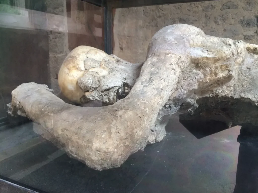 a day in pompeii
