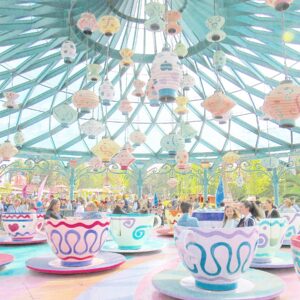 disney parks tips