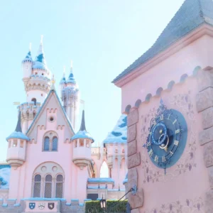 disney park tips