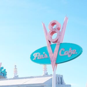 disney parks tips