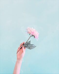 unfurling - Tiffany Julia