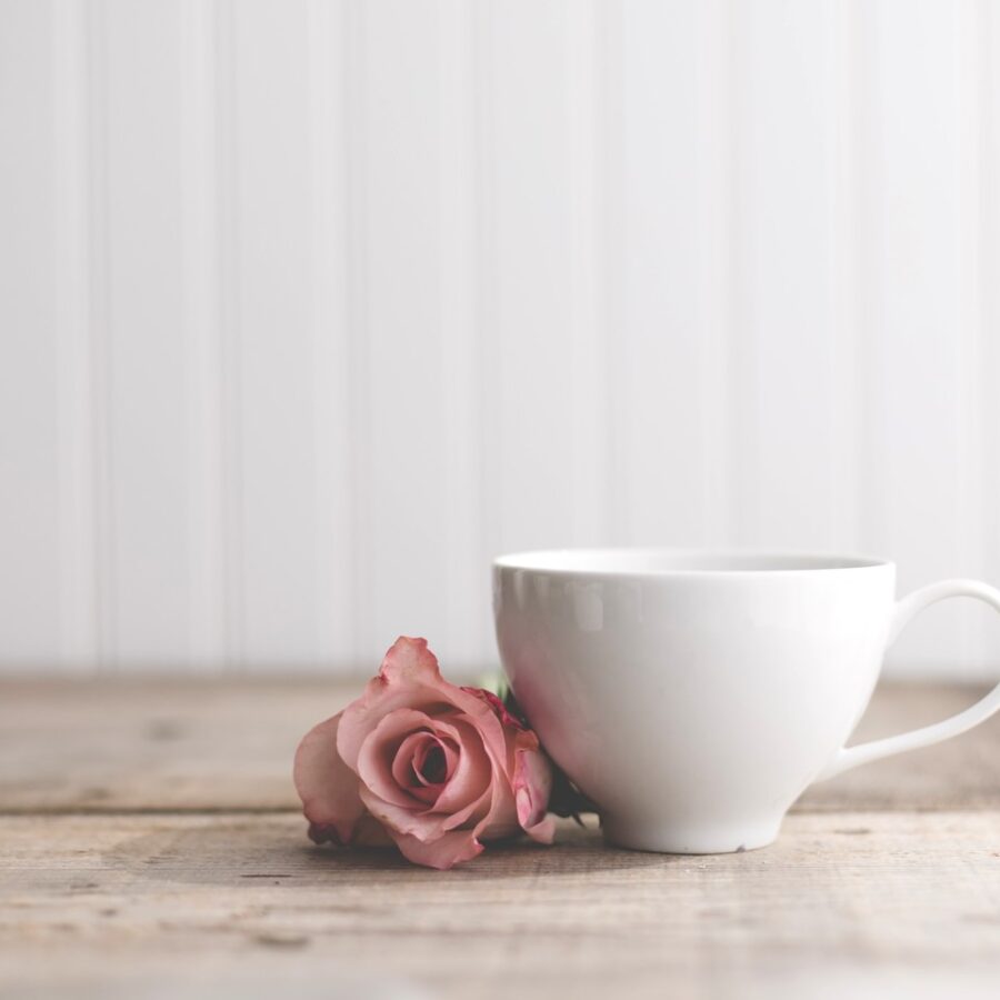 White tea cup and a pink rose