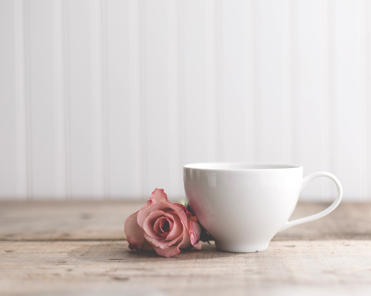 White tea cup and a pink rose